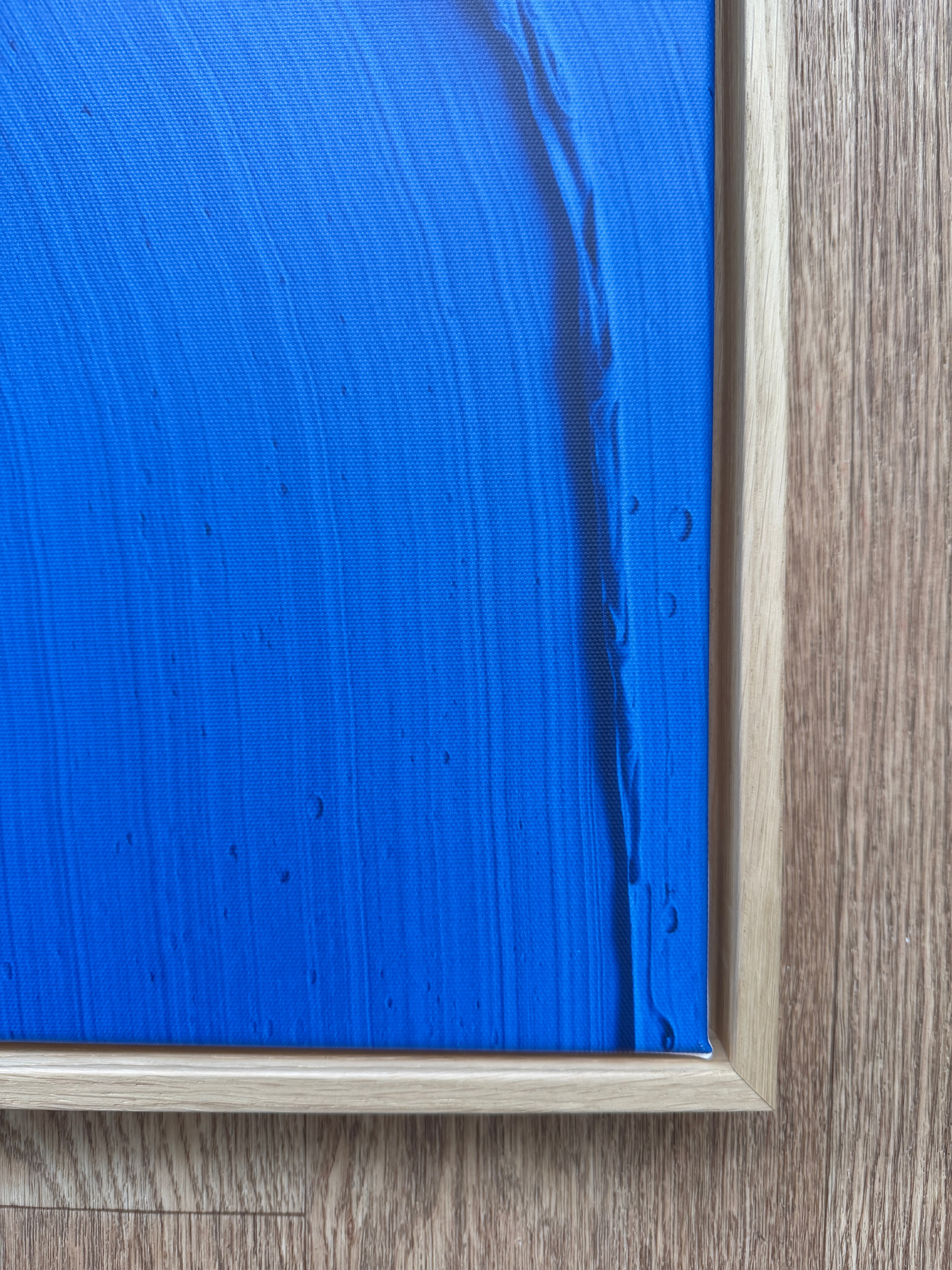 SEALION | FRAMED CANVAS PRINT EDITION