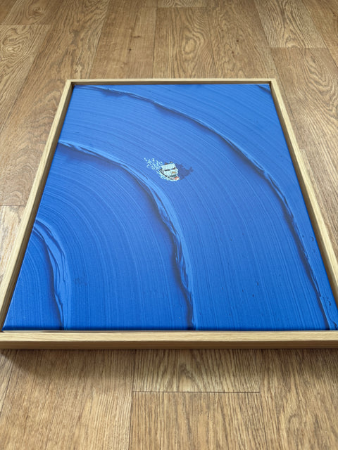 SEALION | FRAMED CANVAS PRINT EDITION